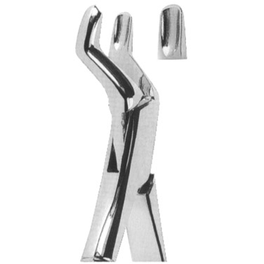  Extracting Forceps American Pattern