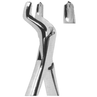  Extracting Forceps American Pattern