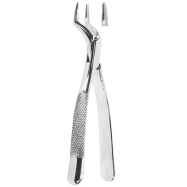  Extracting Forceps American Pattern