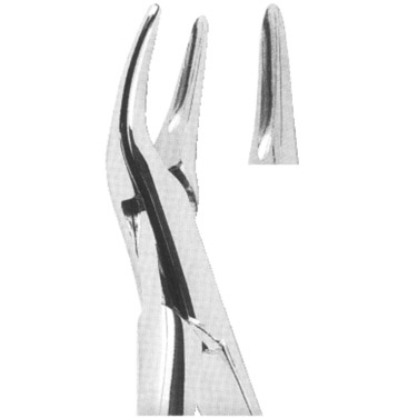  Extracting Forceps American Pattern