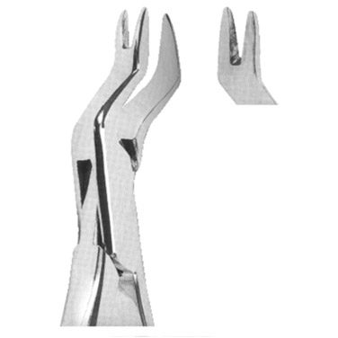  Extracting Forceps American Pattern