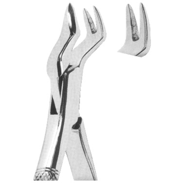  Extracting Forceps American Pattern