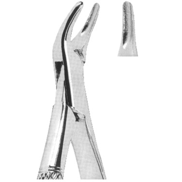  Extracting Forceps American Pattern