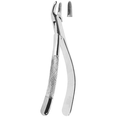 Extracting Forceps American Pattern