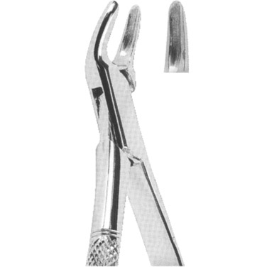  Extracting Forceps American Pattern