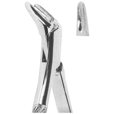 Extracting Forceps American Pattern