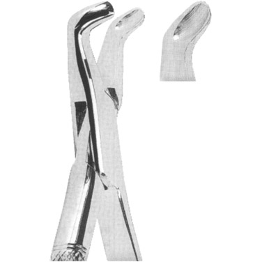  Extracting Forceps American Pattern