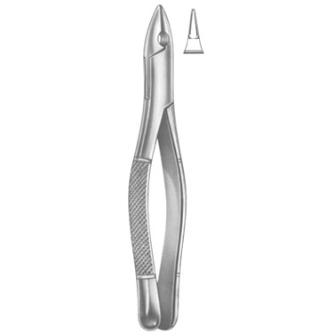  Extracting Forceps American Pattern