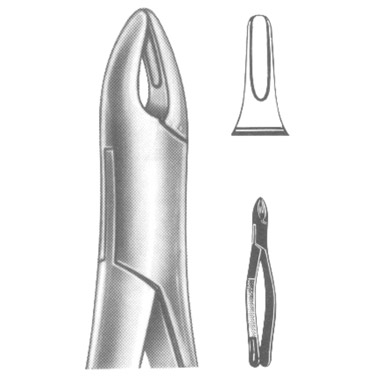  Extracting Forceps American Pattern
