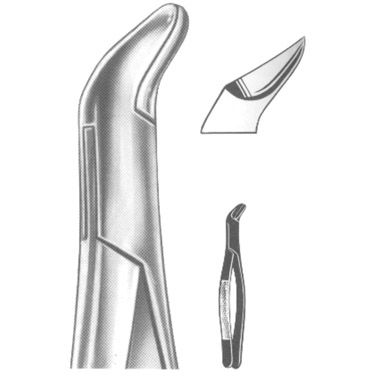  Extracting Forceps American Pattern