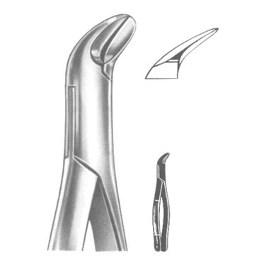  Extracting Forceps American Pattern