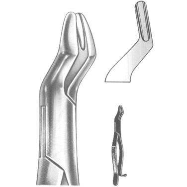  Extracting Forceps American Pattern