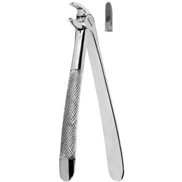  Extracting Forceps American Pattern