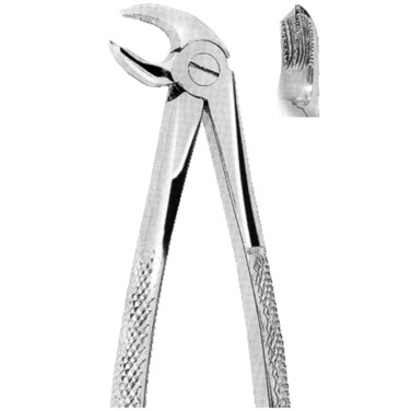  Extracting Forceps American Pattern