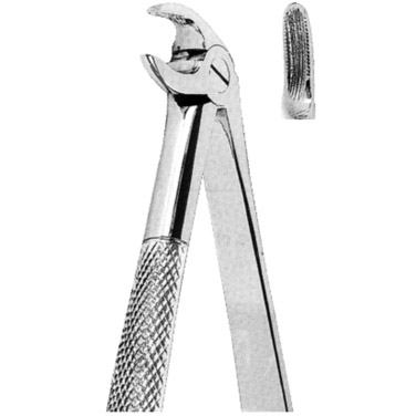  Extracting Forceps American Pattern