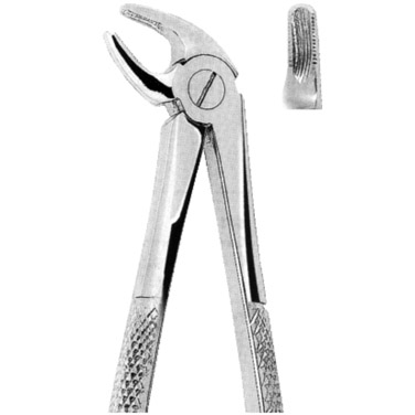  Extracting Forceps American Pattern