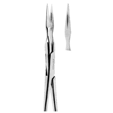 Root Splinter Extracting Forceps