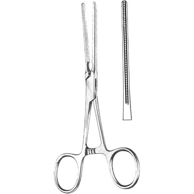 Cardiovascular Surgery