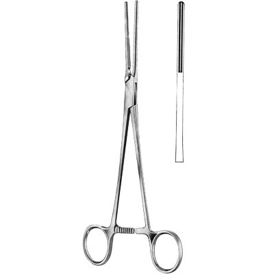 Cardiovascular Surgery