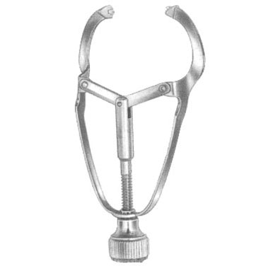  Matrix Retainers And Matrix Bands
