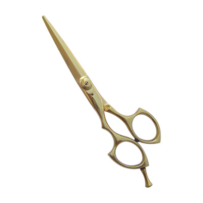 Hair Cutting Scissors