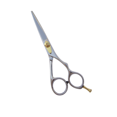 Hair Cutting Scissors