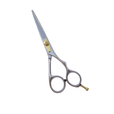 Hair Cutting Scissors