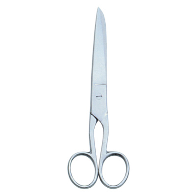  House Hold And Taylor Scissors