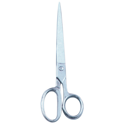  House Hold And Taylor Scissors