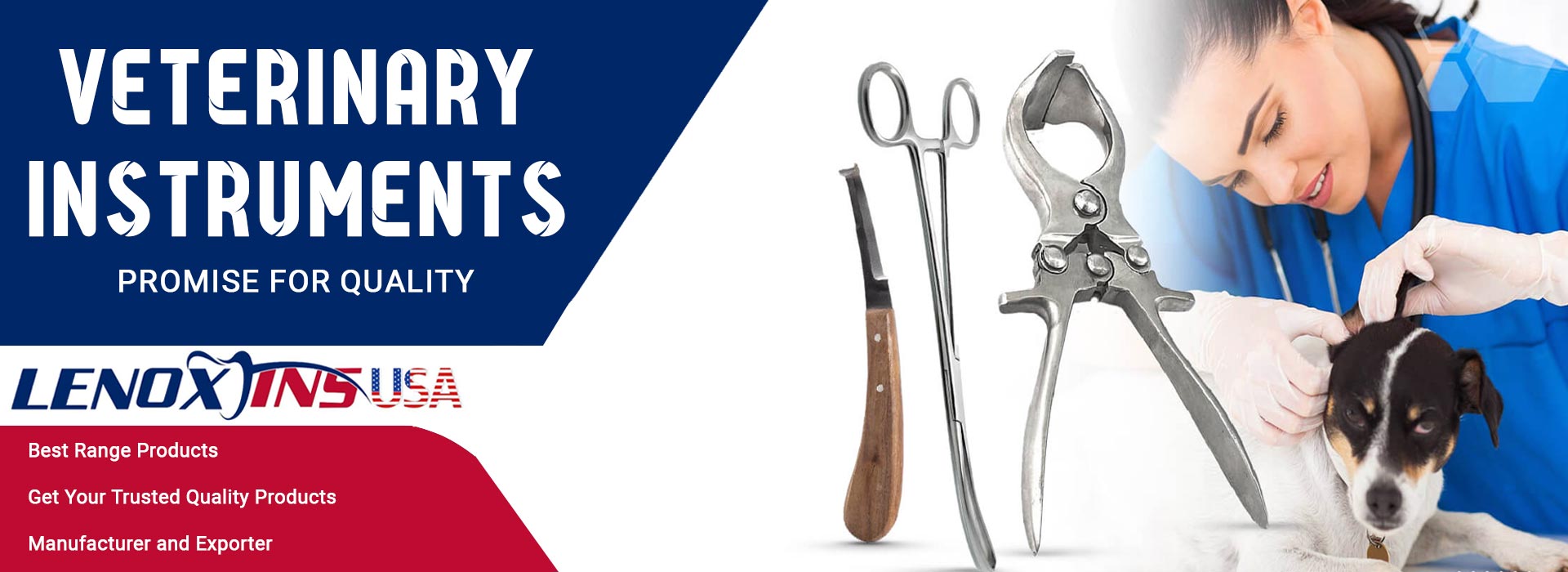 Veterinary Instruments